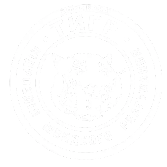 Tiger Security
